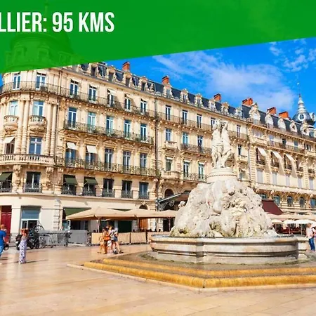 Le Toucan - 100m Palais Et Pont